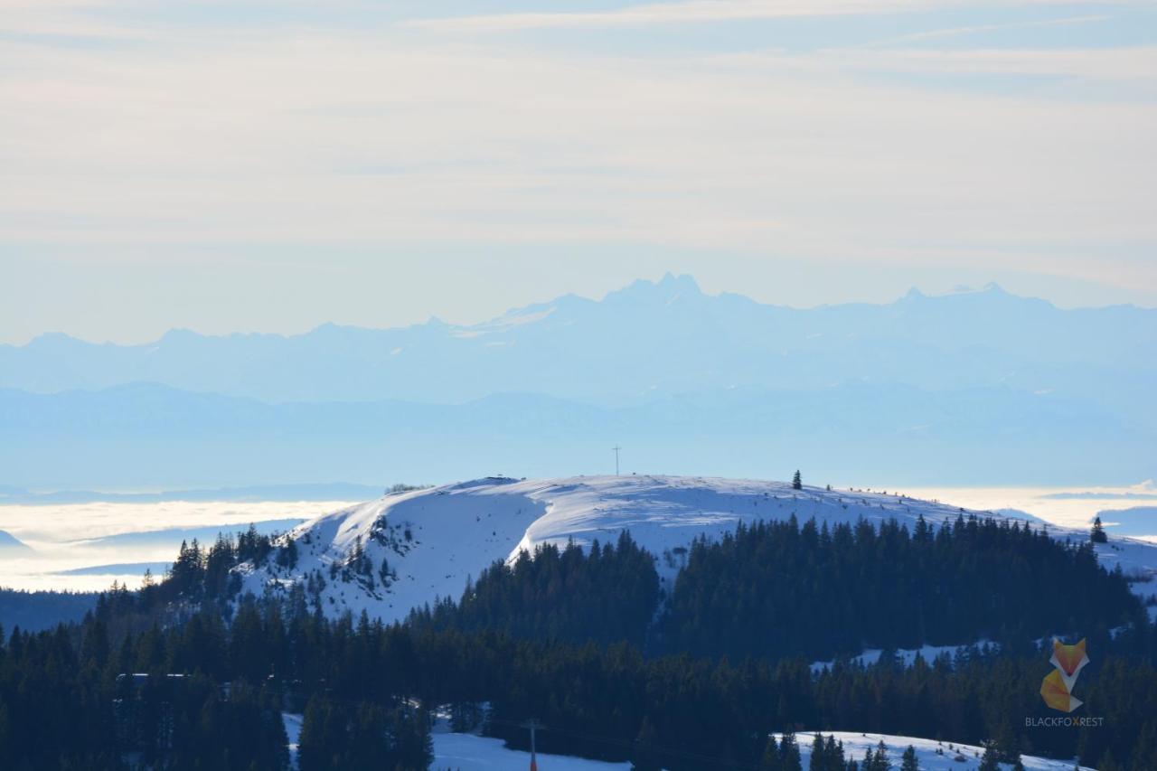 Blackfoxrest Ferienwohnung Feldberg  Extérieur photo